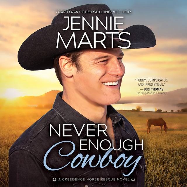 Book cover for Never Enough Cowboy