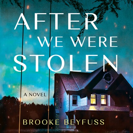 After We Were Stolen bookCoverFor