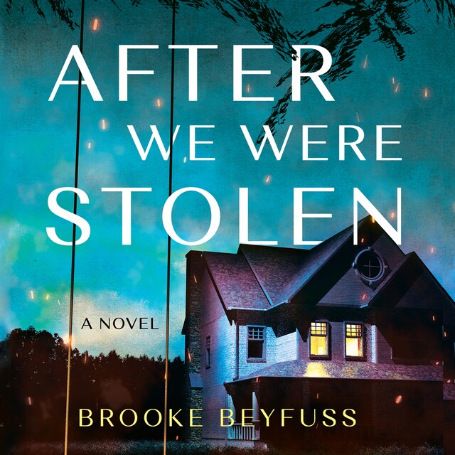 Book cover for After We Were Stolen