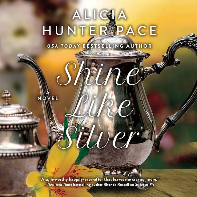 Buchcover für Shine Like Silver