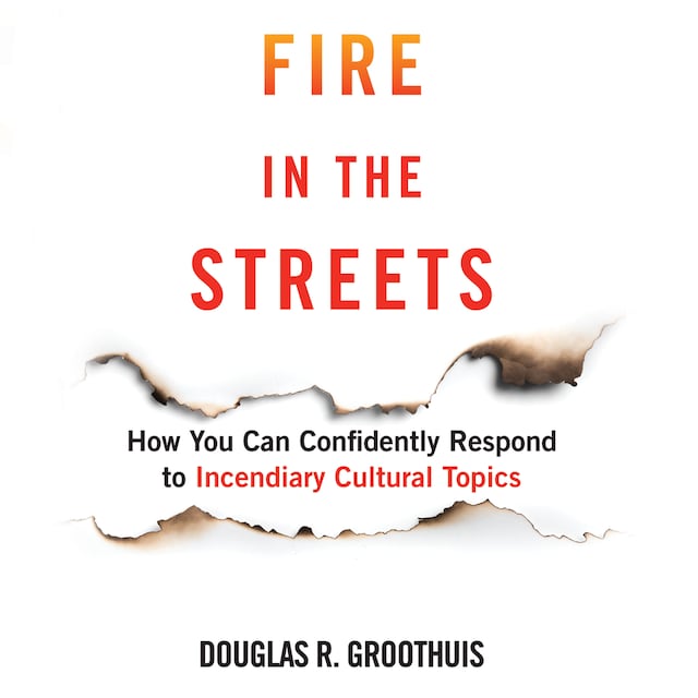 Buchcover für Fire in the Streets