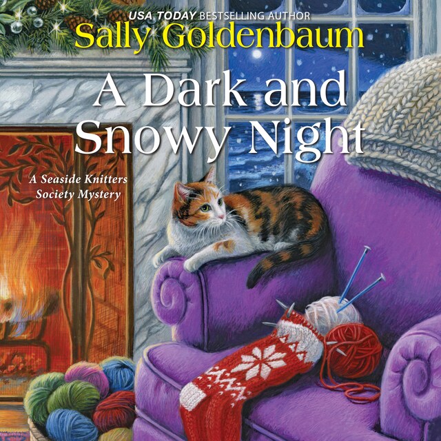Book cover for A Dark and Snowy Night