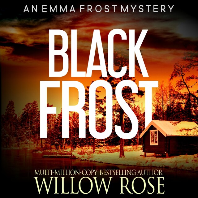 Buchcover für Black Frost