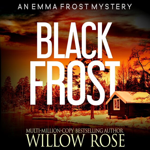 Portada de libro para Black Frost