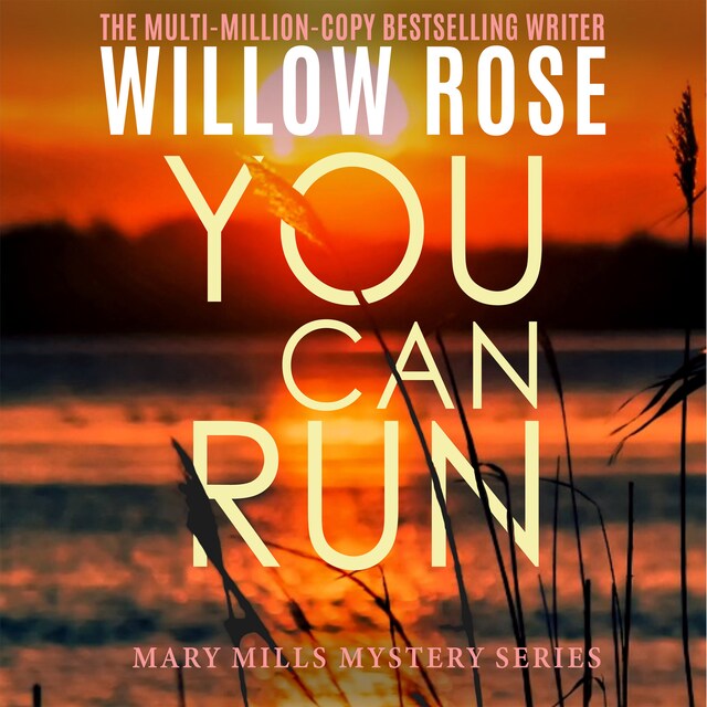 Couverture de livre pour You Can Run