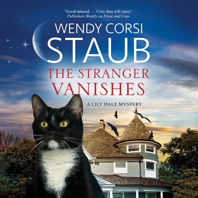 Okładka książki dla The Stranger Vanishes
