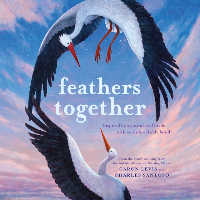 Book cover for Feathers Together