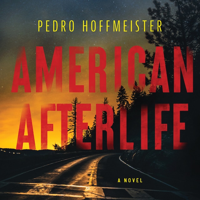 Buchcover für American Afterlife