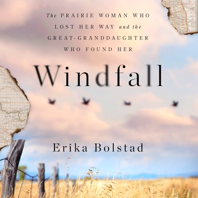 Book cover for Windfall