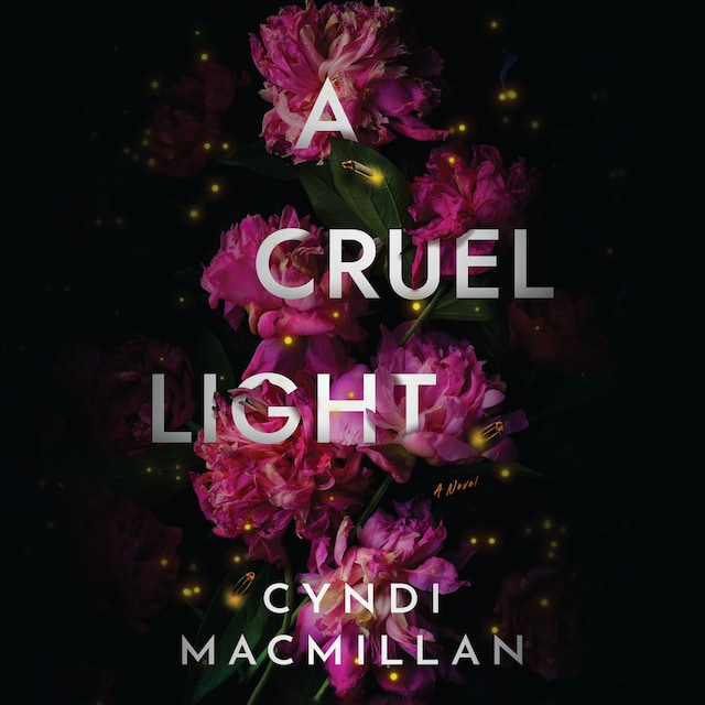Book cover for A Cruel Light
