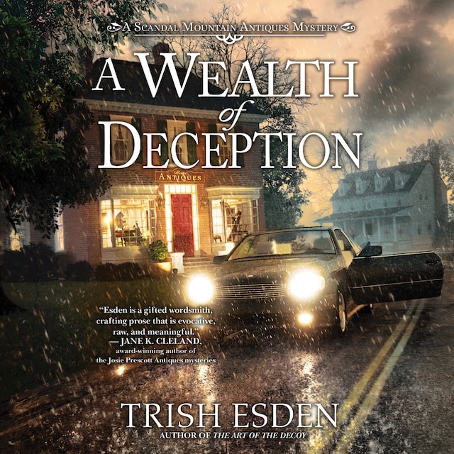 Book cover for A Wealth of Deception
