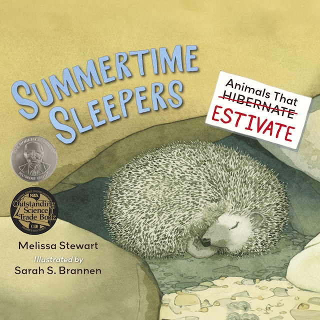 Kirjankansi teokselle Summertime Sleepers