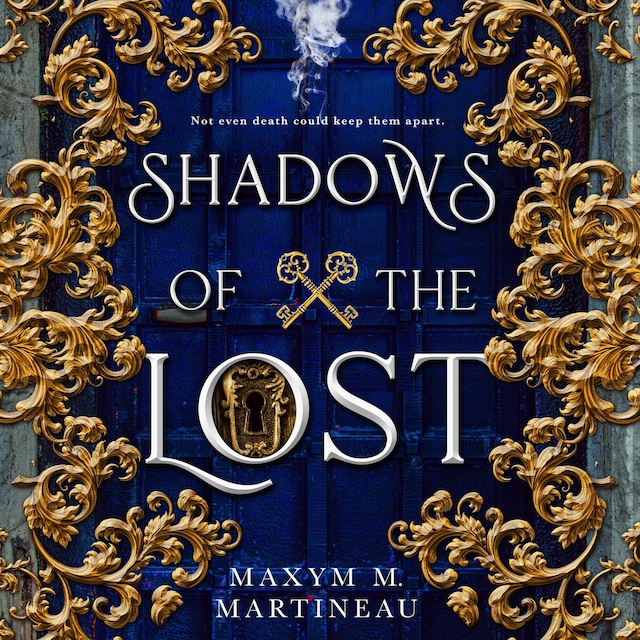 Copertina del libro per Shadows of the Lost