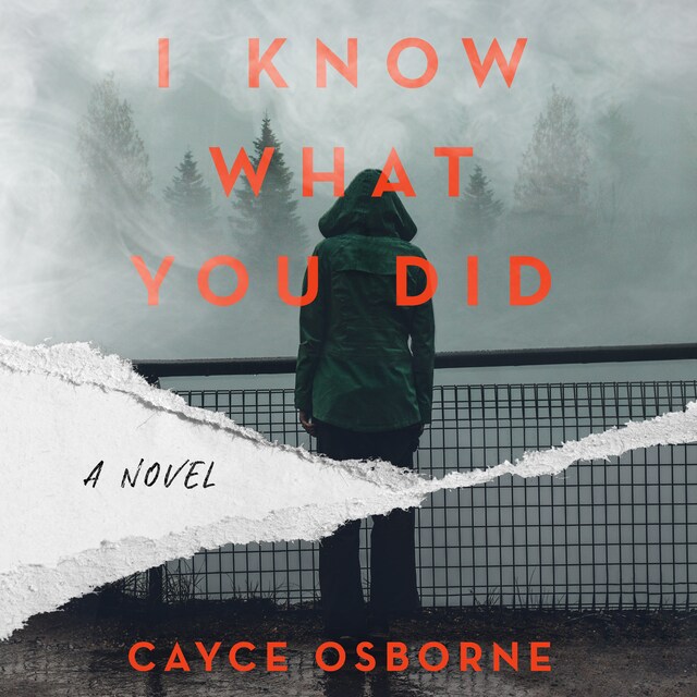 Book cover for I Know What You Did