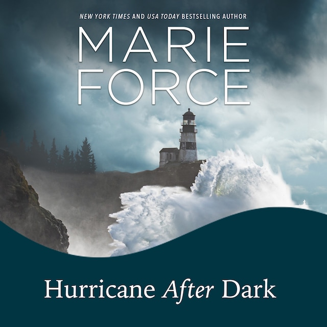 Book cover for Hurricane After Dark