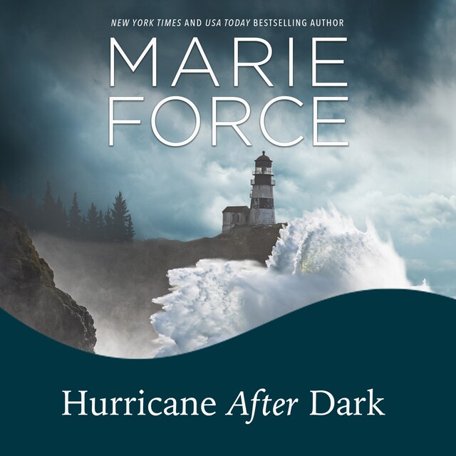 Book cover for Hurricane After Dark