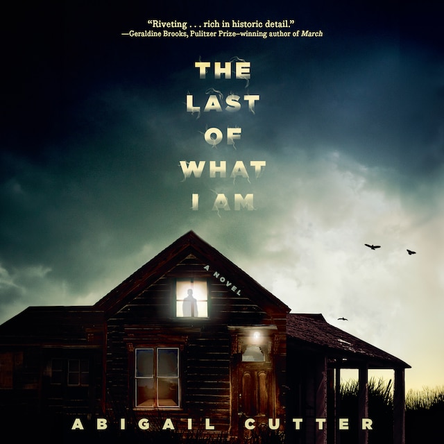 Book cover for The Last of What I Am
