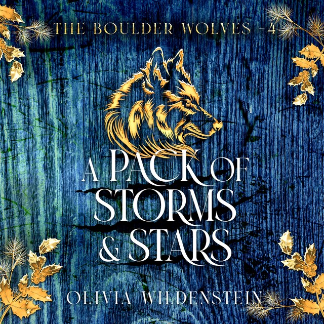 Couverture de livre pour A Pack of Storms and Stars