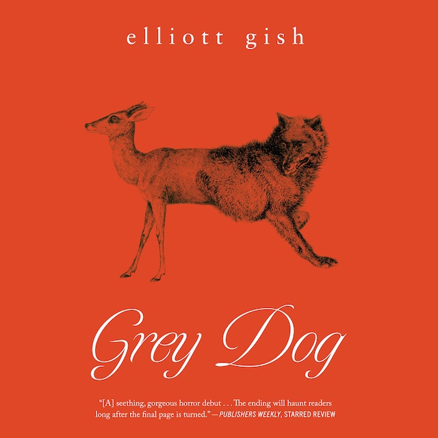 Book cover for Grey Dog
