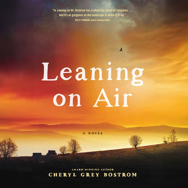 Book cover for Leaning on Air
