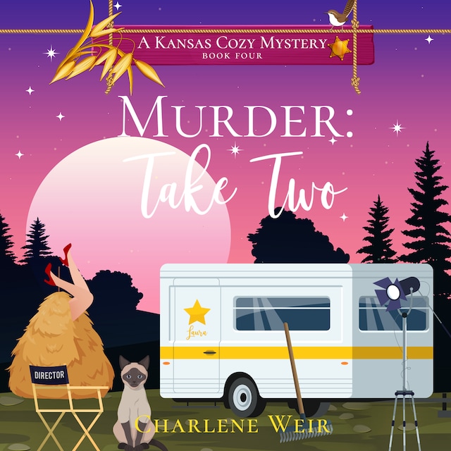 Book cover for Murder: Take Two