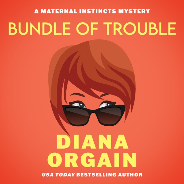 Book cover for Bundle of Trouble