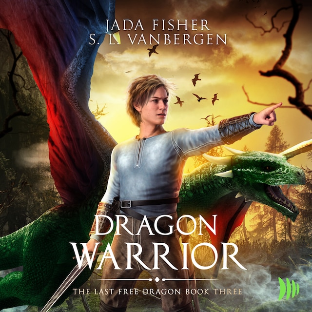 Buchcover für Dragon Warrior
