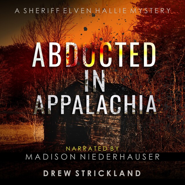 Couverture de livre pour Abducted in Appalachia