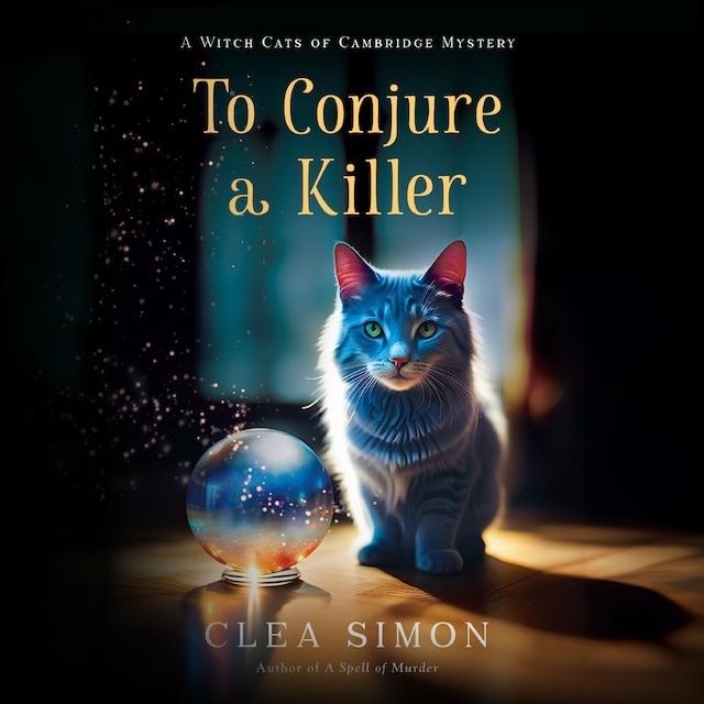 Book cover for To Conjure a Killer