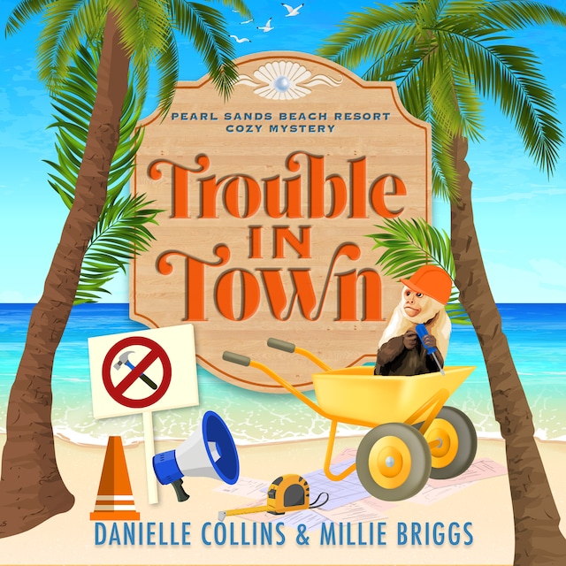 Book cover for Trouble in Town