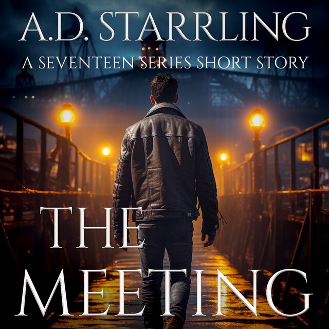 Copertina del libro per The Meeting