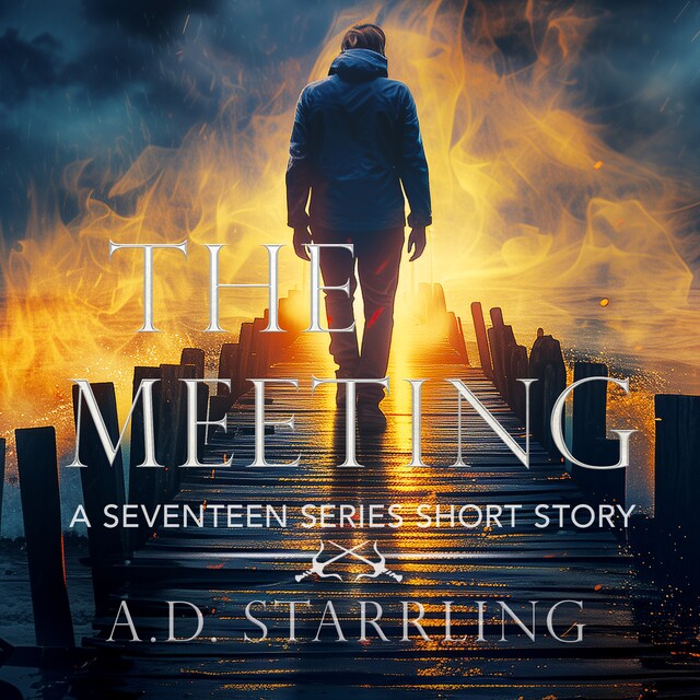 Book cover for The Meeting