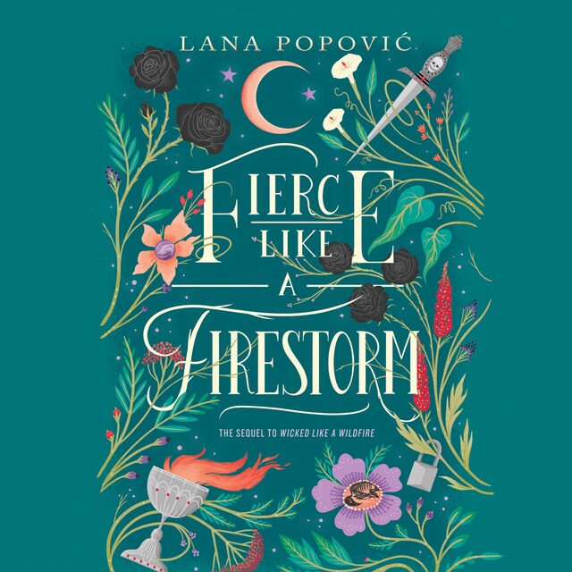 Fierce Like a Firestorm Book cover for Fierce Like a Firestorm