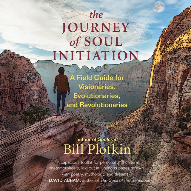 Boekomslag van The Journey of Soul Initiation