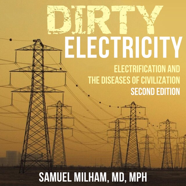 Book cover for Dirty Electricity