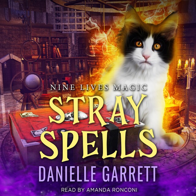 Boekomslag van Stray Spells