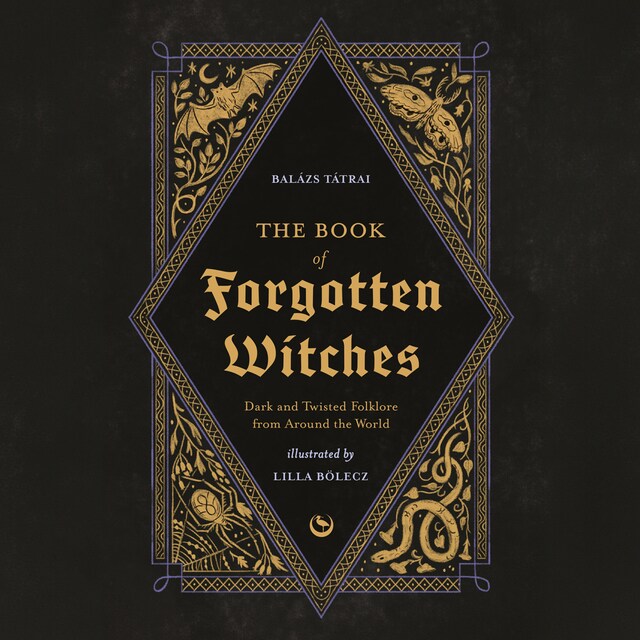 The Book of Forgotten Witches Book cover for The Book of Forgotten Witches
