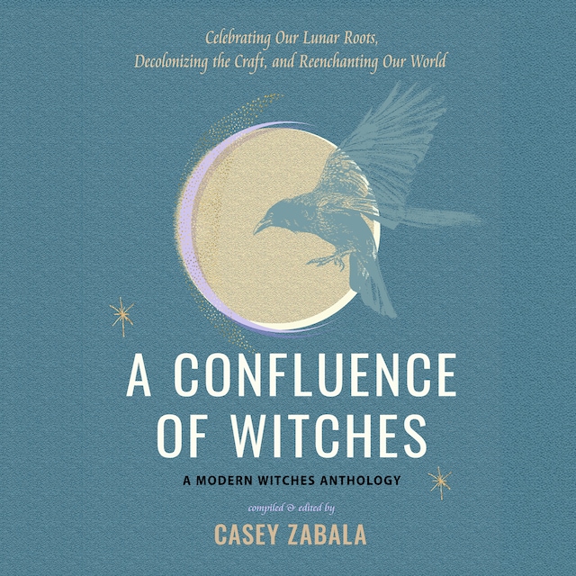 Book cover for A Confluence of Witches