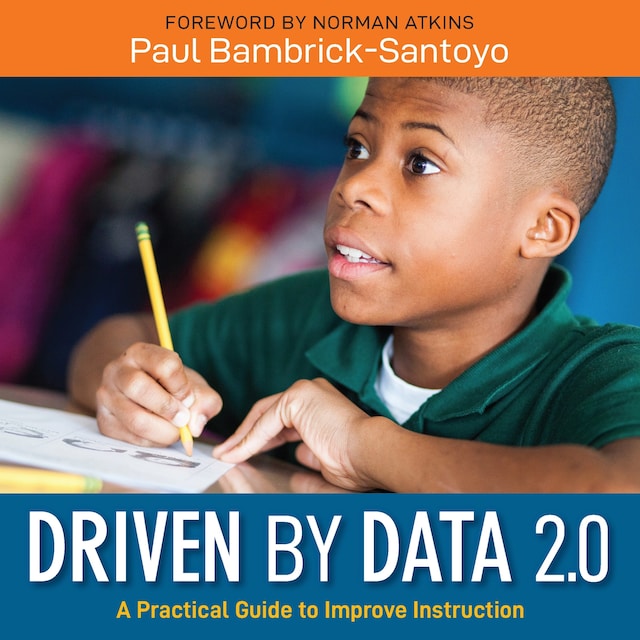 Book cover for Driven by Data 2.0