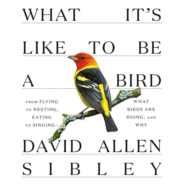 Copertina del libro per What It's Like to Be a Bird