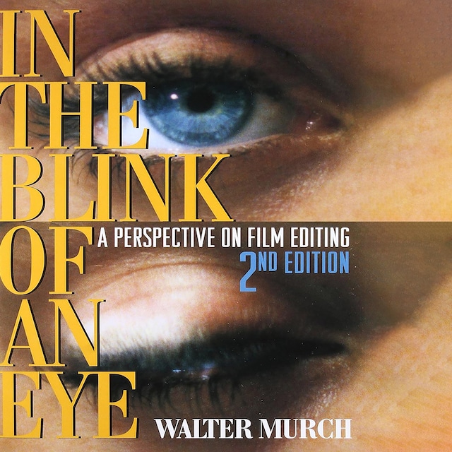 Book cover for In the Blink of an Eye