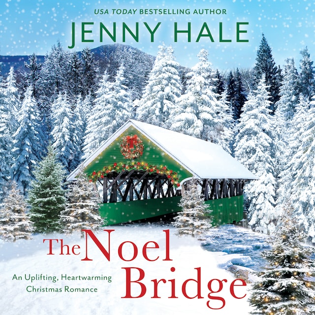 Portada de libro para The Noel Bridge