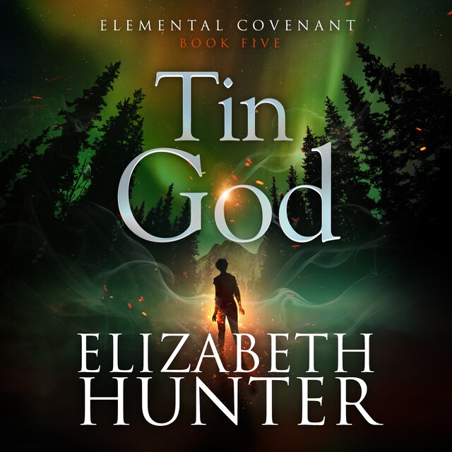 Book cover for Tin God