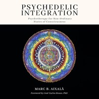 Psychedelic Integration