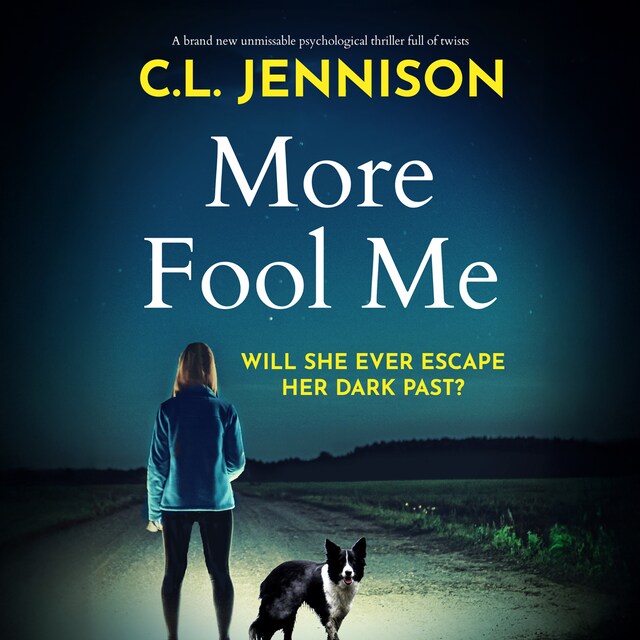 Book cover for More Fool Me