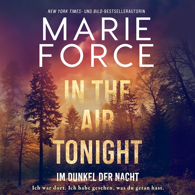 Buchcover für In the Air tonight – Im Dunkel der Nacht