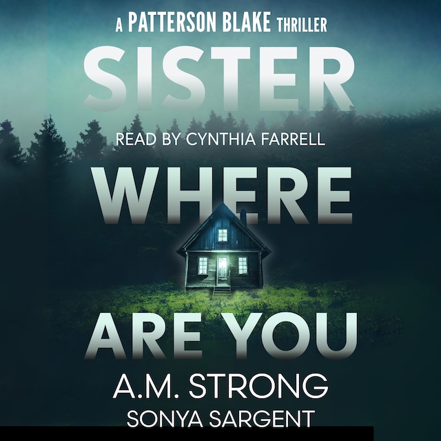 Book cover for Sister Where Are You