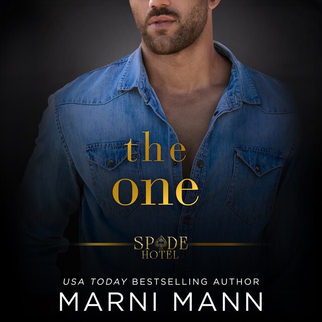 Book cover for The One