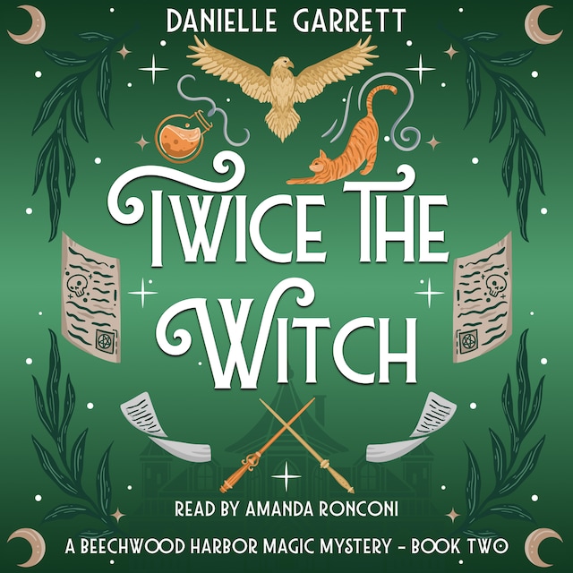 Twice the Witch Book cover for Twice the Witch