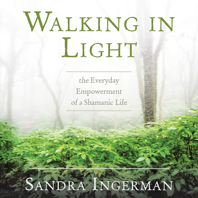 Book cover for Walking in Light